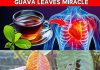 10 Reasons to Drink Guava Leaf Tea Daily | Incredible Benefits of Guava Leaves (Did You Know That?)