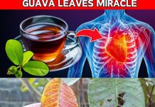 10 Reasons to Drink Guava Leaf Tea Daily | Incredible Benefits of Guava Leaves (Did You Know That?)