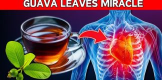 10 Reasons to Drink Guava Leaf Tea Daily | Incredible Benefits of Guava Leaves (Did You Know That?)