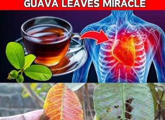 10 Reasons to Drink Guava Leaf Tea Daily | Incredible Benefits of Guava Leaves (Did You Know That?)