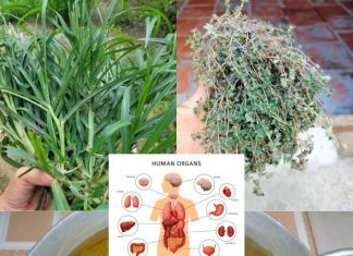 27 Natural Remedies for Common Health Issues