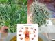 27 Natural Remedies for Common Health Issues