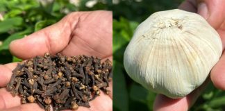 Clean Your Veins and Improve Circulation Naturally – No Pills Needed!