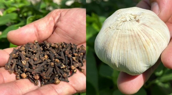 Clean Your Veins and Improve Circulation Naturally – No Pills Needed!