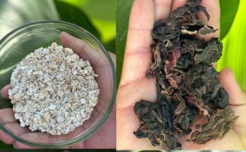 The Drink That Cures All Diseases, Including Diabetes, Poor Circulation, Fatty Liver, Colon Issues, Pancreas Problems, Cancer, and More