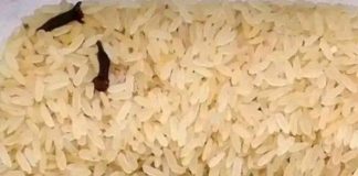 Preventing Weevils: A Simple Solution For Your Beans And Rice