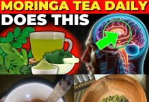 7 Reasons to Drink Moringa Tea Daily – Incredible Moringa Benefits