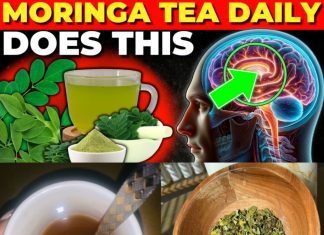 7 Reasons to Drink Moringa Tea Daily – Incredible Moringa Benefits