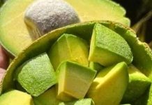 11 Reasons Why You Should Eat Avocado in the Morning