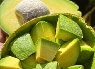 11 Reasons Why You Should Eat Avocado in the Morning