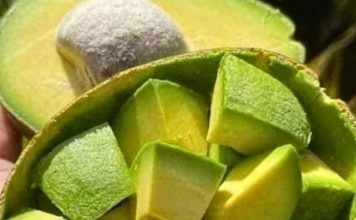 11 Reasons Why You Should Eat Avocado in the Morning