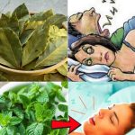 Natural Remedies for Snoring: Leaves That May Help You Sleep Better
