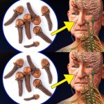 After 50: Chew 2 Cloves Daily on an Empty Stomach and Your Body Will Thank You