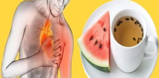 Watermelon Seed Tea: Benefits and Health Recipes