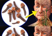 After 50: Chew 2 Cloves Daily on an Empty Stomach and Your Body Will Thank You