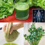 Boost Your Liver Health and Burn Fat with These 3 Detoxifying Green Juice Recipes