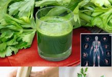 Boost Your Liver Health and Burn Fat with These 3 Detoxifying Green Juice Recipes