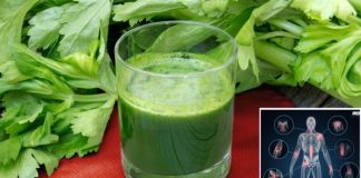 Boost Your Liver Health and Burn Fat with These 3 Detoxifying Green Juice Recipes