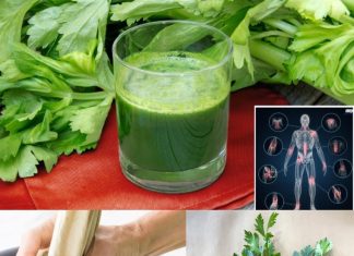 Boost Your Liver Health and Burn Fat with These 3 Detoxifying Green Juice Recipes