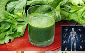 Boost Your Liver Health and Burn Fat with These 3 Detoxifying Green Juice Recipes