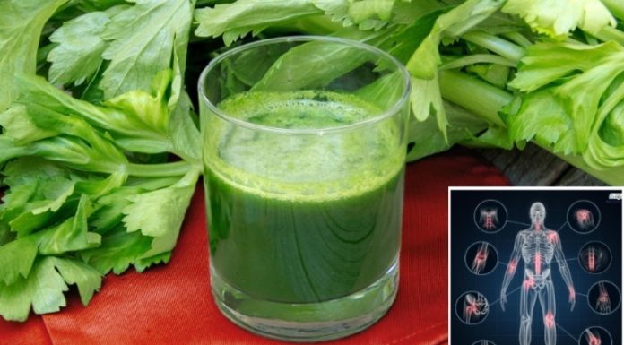 Boost Your Liver Health and Burn Fat with These 3 Detoxifying Green Juice Recipes