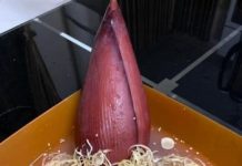 Banana Blossom Remedies: A Natural Treatment for Diabetes, Stomach Issues, and High Blood Pressure