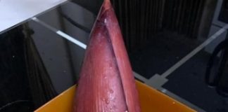 Banana Blossom Remedies: A Natural Treatment for Diabetes, Stomach Issues, and High Blood Pressure