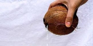 Don’t Drink Coconut Water Before Doing These 3 Things! ⚠️🥥