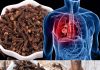 How to Use Cloves to Fight Respiratory Infections and Bronchitis