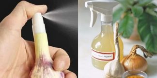 The Ultimate Housewife’s Guide to Banishing Bed Bugs for Good