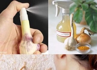 The Ultimate Housewife’s Guide to Banishing Bed Bugs for Good