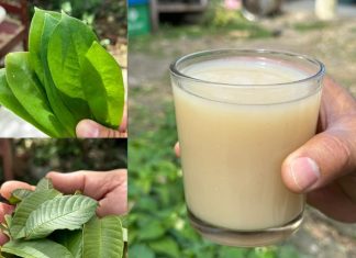 Eliminate Numb Legs, Diabetes, Itching, Cramps, and High Blood Pressure with Just One Cup of This Powerful Mixture