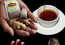 Cloves, Ginger, and Lipton Tea: A Health-Boosting Trio Worth Gold