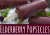 Elderberry Popsicles