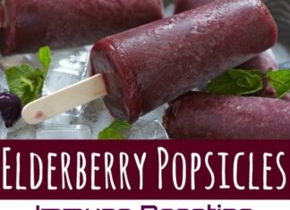 Elderberry Popsicles