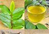 The Healing Power of Nature: A Natural Remedy for Diabetes, Poor Circulation, Fatty Liver, High Blood Pressure, and Cancer