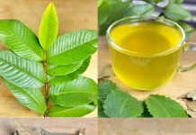 The Healing Power of Nature: A Natural Remedy for Diabetes, Poor Circulation, Fatty Liver, High Blood Pressure, and Cancer