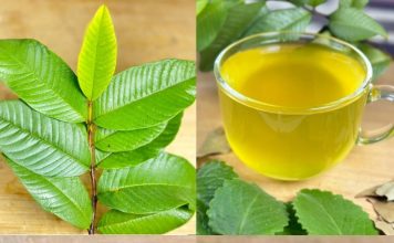 The Healing Power of Nature: A Natural Remedy for Diabetes, Poor Circulation, Fatty Liver, High Blood Pressure, and Cancer