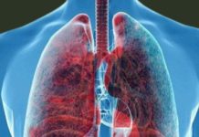 The Highland Flower: A Natural Ally in Quitting Smoking