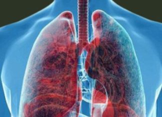 The Highland Flower: A Natural Ally in Quitting Smoking