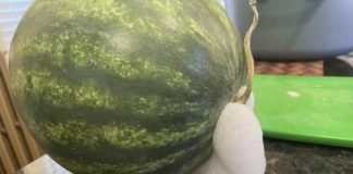 If Your Watermelon Starts to Look Like This, Get Rid of It Immediately
