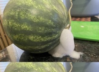 If Your Watermelon Starts to Look Like This, Get Rid of It Immediately