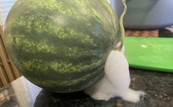If Your Watermelon Starts to Look Like This, Get Rid of It Immediately