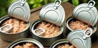 Innovative Ideas for Reusing Empty Tuna Cans