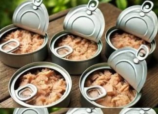 Innovative Ideas for Reusing Empty Tuna Cans