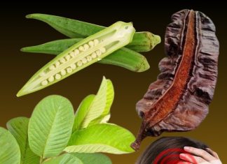 Guava Leaf, Aidan Fruit, and Okra: A Natural Boost for Ovulation