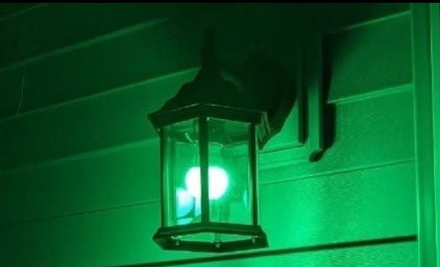 The Meaning Behind Green Porch Lights!!!