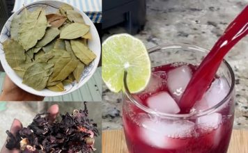 The Ultimate Nighttime Tea: Hibiscus, Bay Leaf & Cinnamon for Relaxation and Wellness