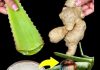 Unleash the Power of Ginger and Aloe Vera: A Natural Antibacterial Dynamo