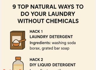9 top natural ways to do your laundry without chemicals